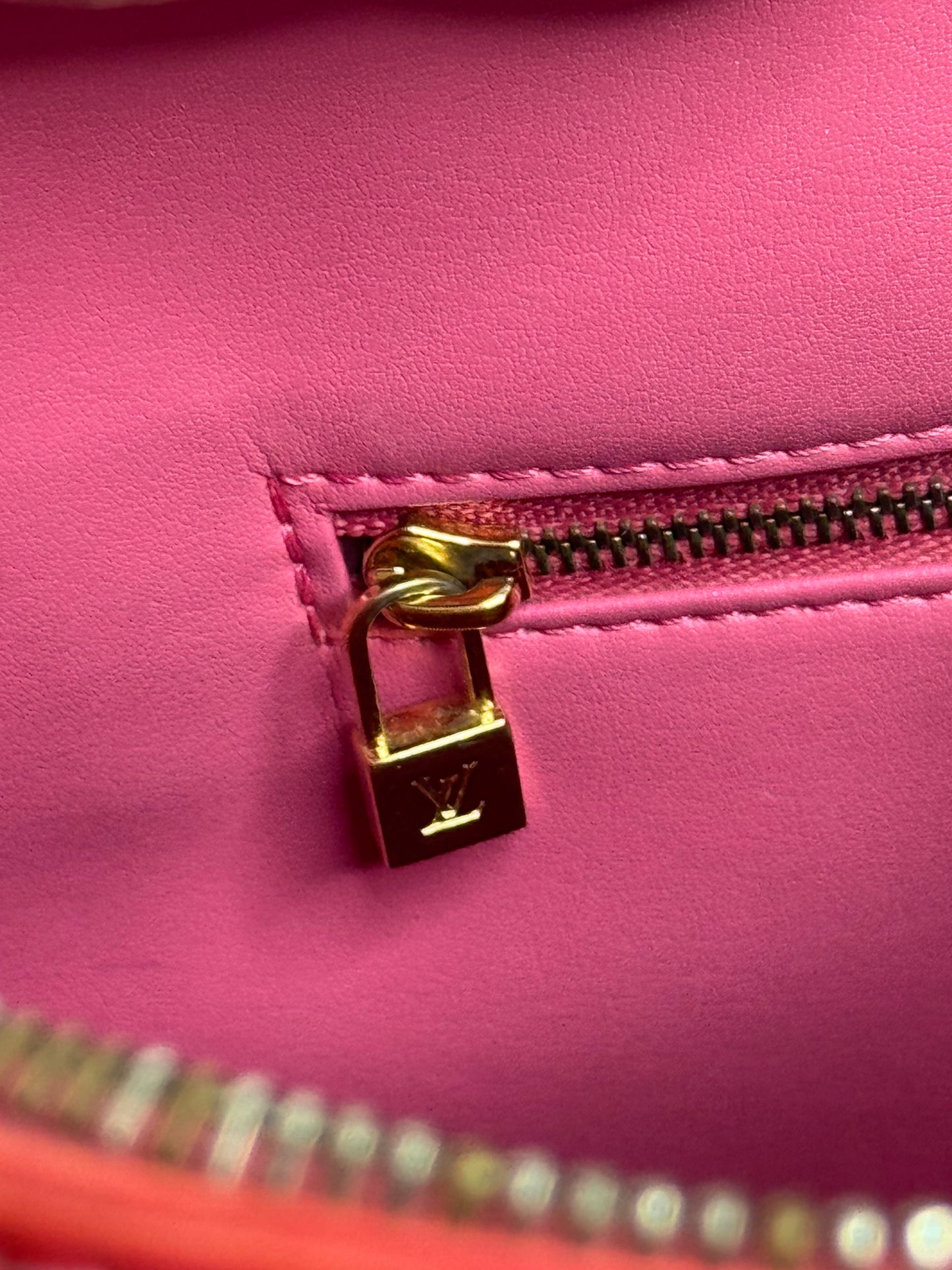 Louis Vuitton Bag